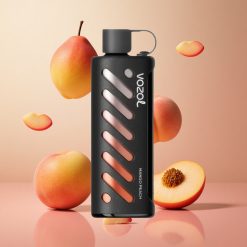 VOZOL Gear Shisha 25000 Puffs Manga Pêssego Brasil Atacadista 30 Sabores Deliciosos 1000mAh